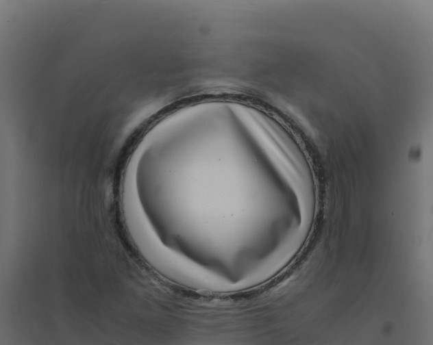 X0000094341261200711241844