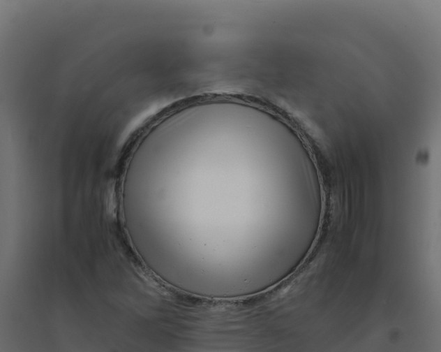 X0000094341262200711241844