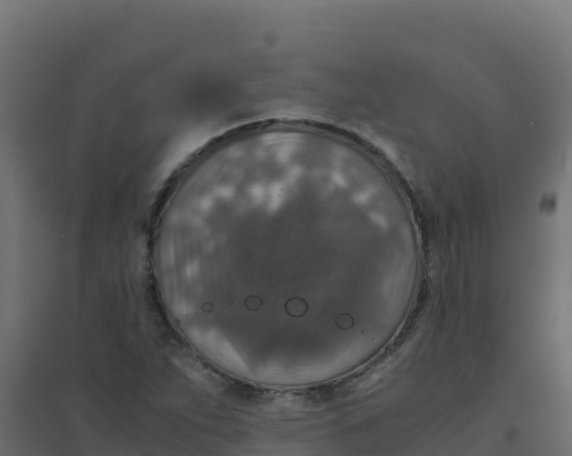 X0000094341263200711241844