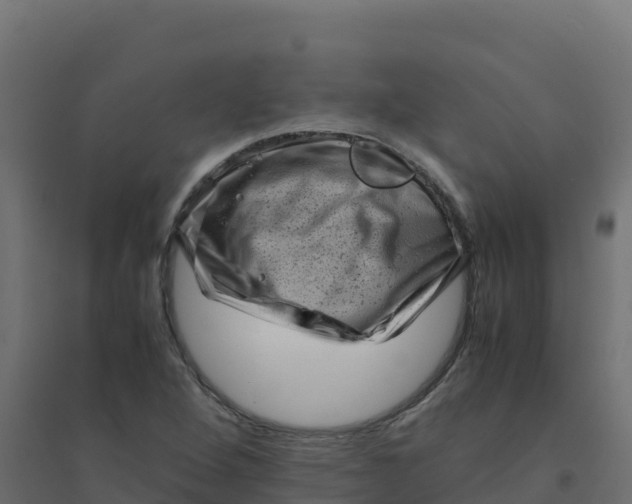 X0000094341264200711241844