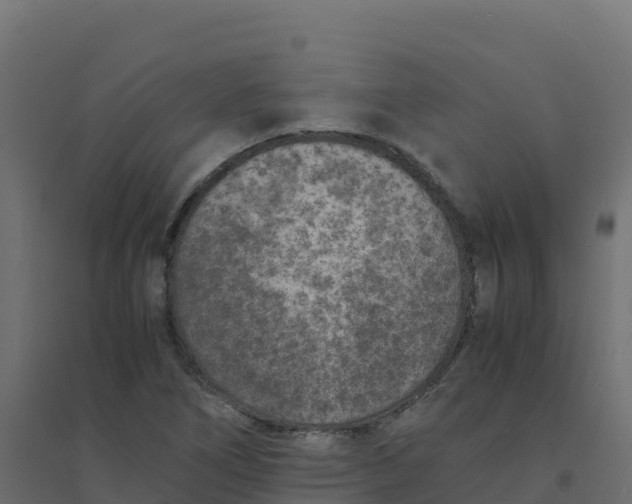 X0000094341266200711241844