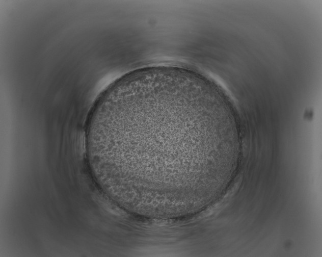 X0000094341267200711241844