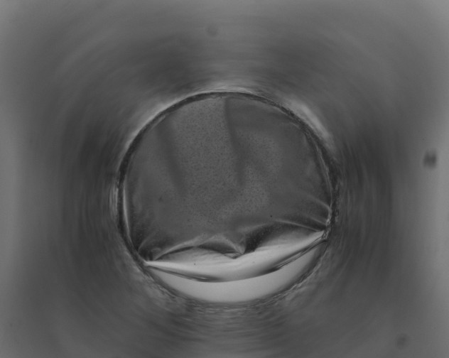 X0000094341268200711241844