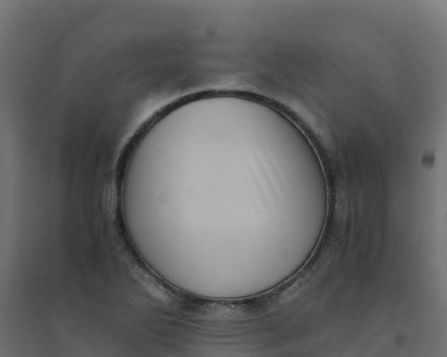 X0000094341270200711241844