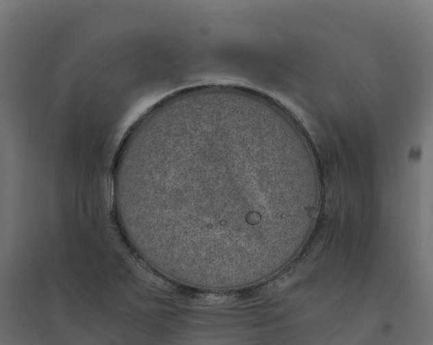 X0000094341271200711241844