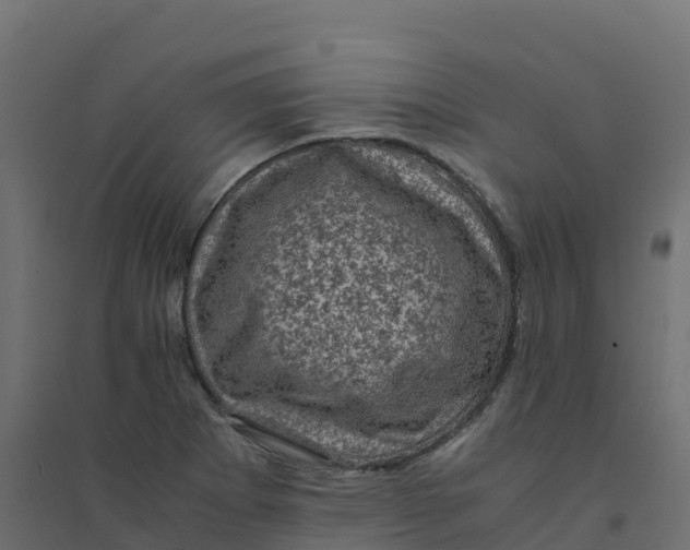 X0000094341273200711241844