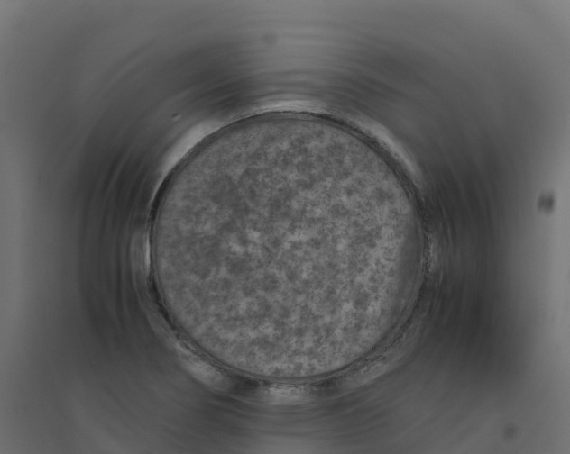 X0000094341274200711241844