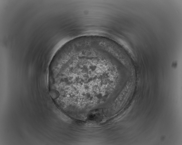 X0000094341275200711241844