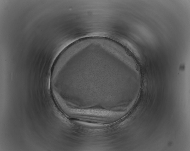 X0000094341276200711241844