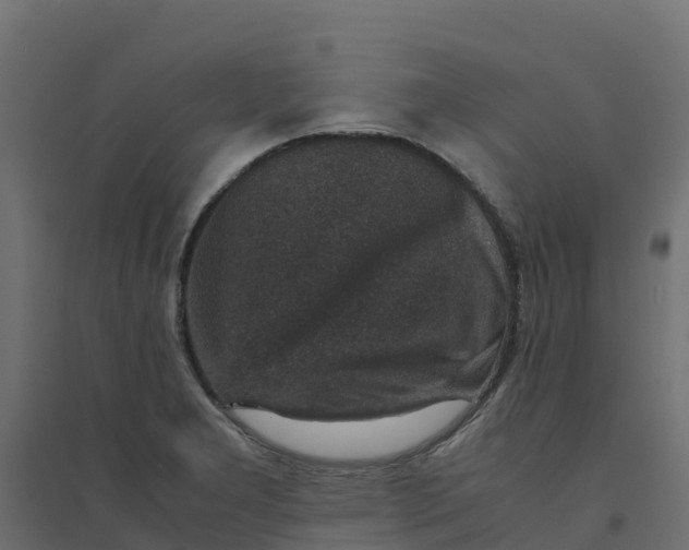 X0000094341277200711241844