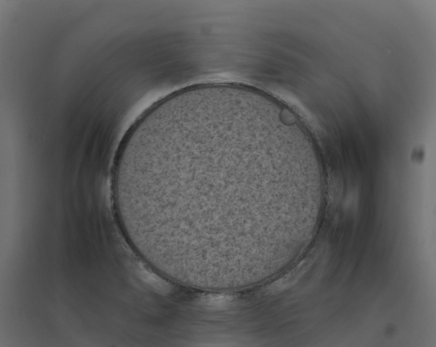 X0000094341278200711241844