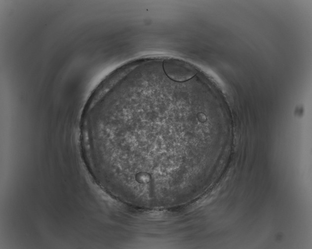 X0000094341279200711241844