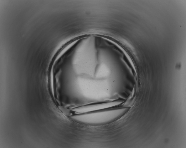 X0000094341280200711241844