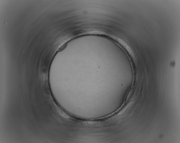 X0000094341281200711241844