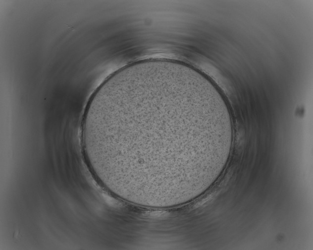 X0000094341282200711241844