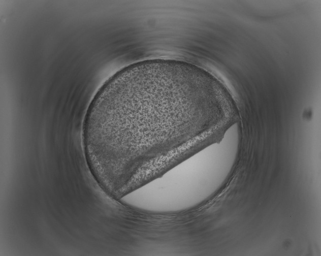 X0000094341283200711241844