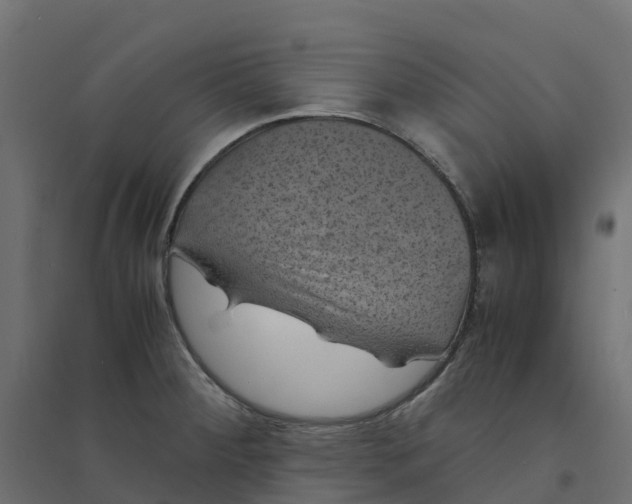 X0000094341284200711241844