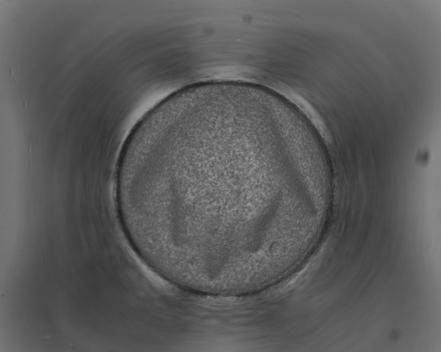 X0000094341285200711241844