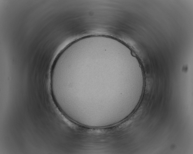 X0000094341286200711241844