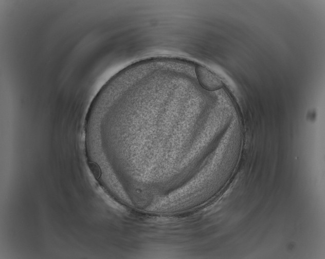 X0000094341287200711241844