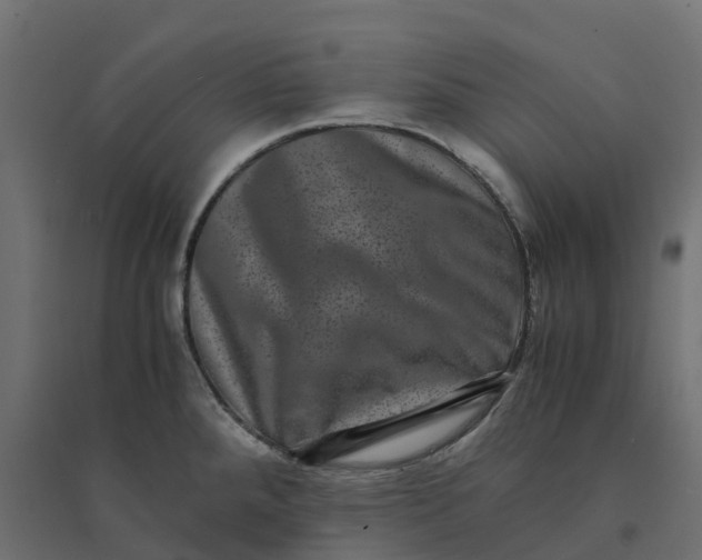 X0000094341288200711241844