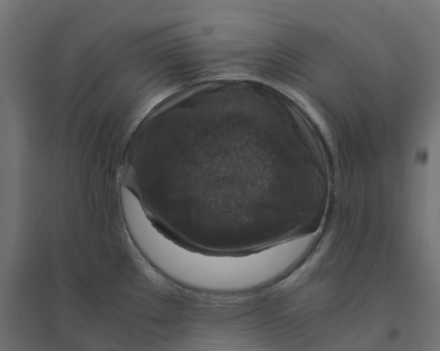 X0000094341289200711241844