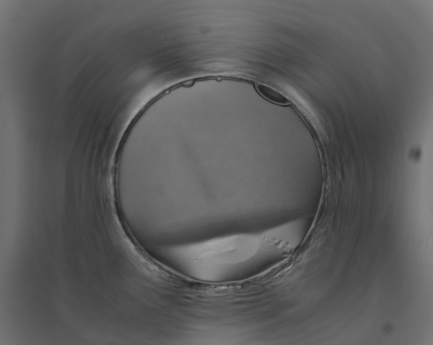 X0000094341291200711241844