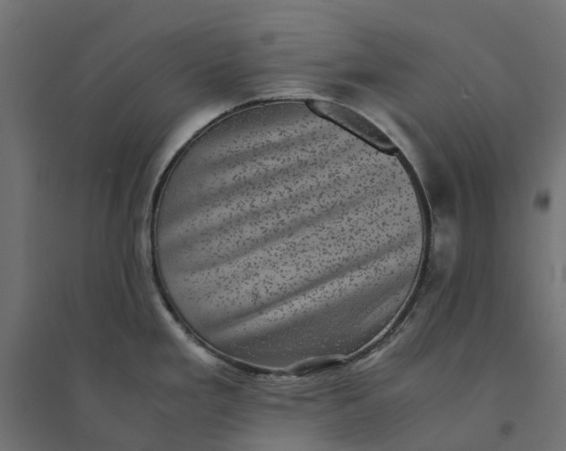 X0000094341293200711241843