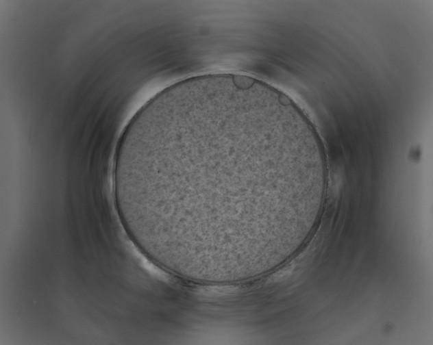 X0000094341294200711241843