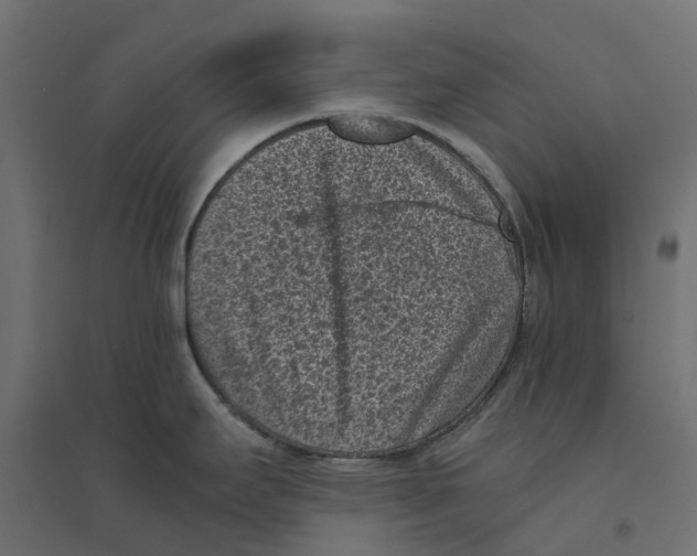 X0000094341295200711241843