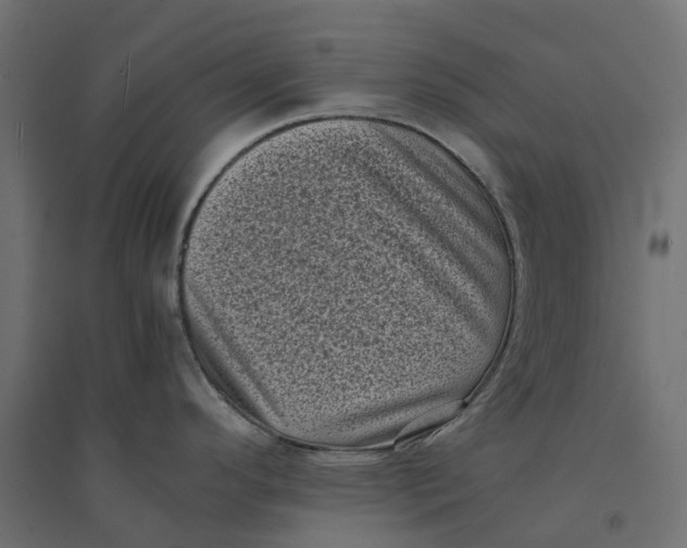 X0000094341296200711241843