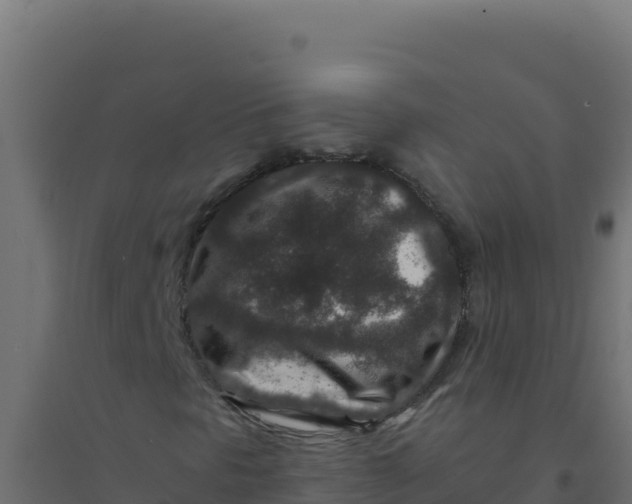 X0000094341297200711241842