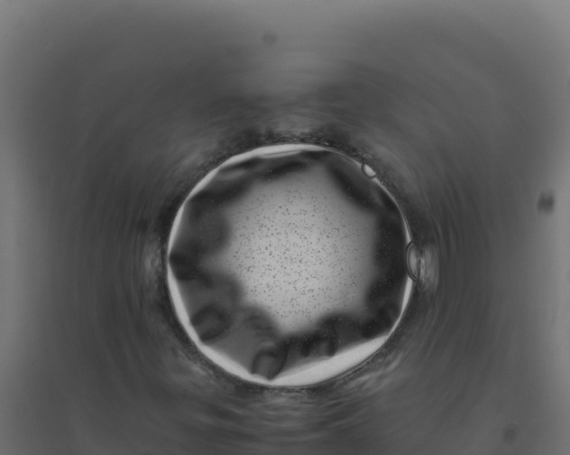 X0000094341299200711241842