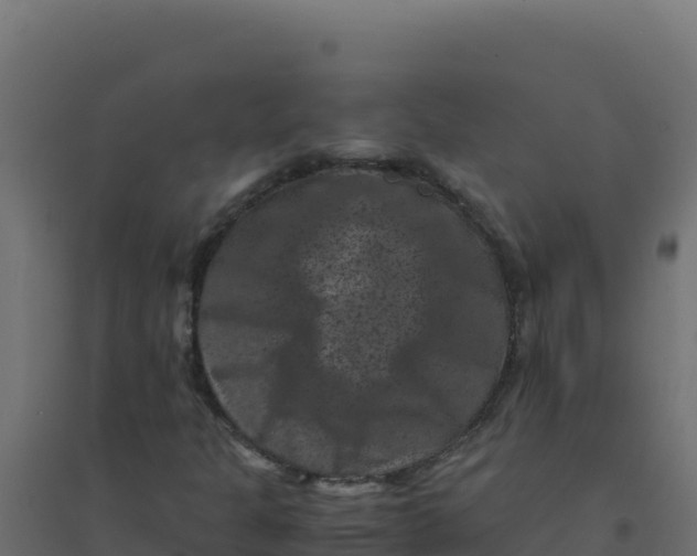 X0000094341301200711241842