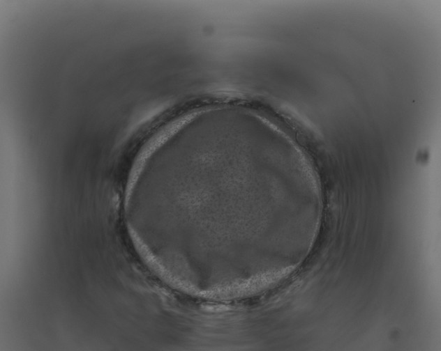 X0000094341302200711241843