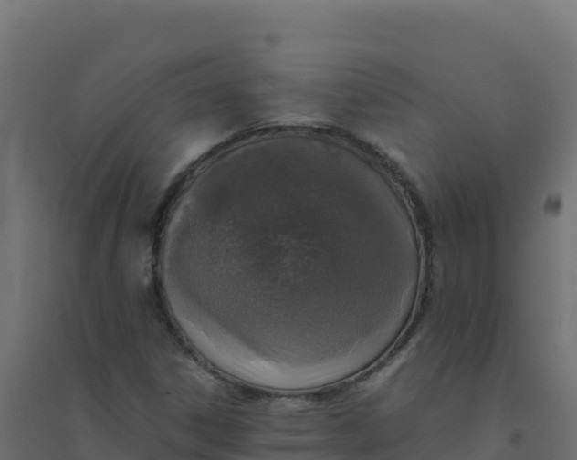 X0000094341306200711241843