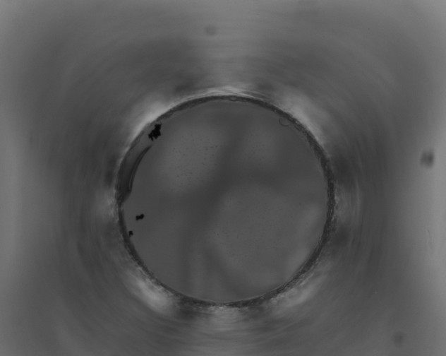 X0000094341308200711241843