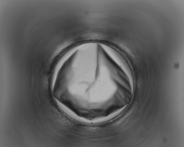 X0000094341309200711241843