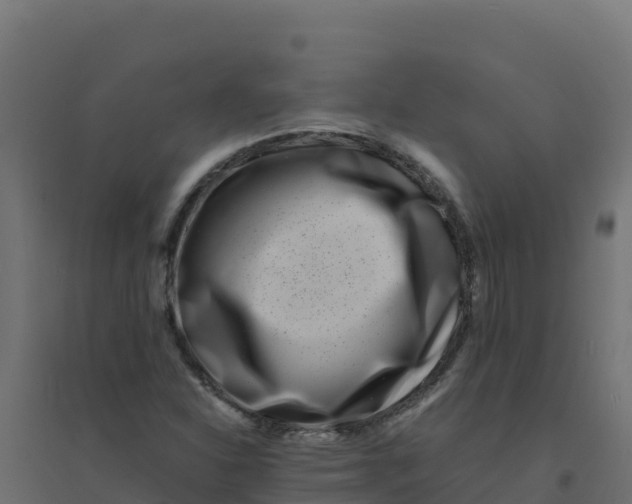 X0000094341310200711241843