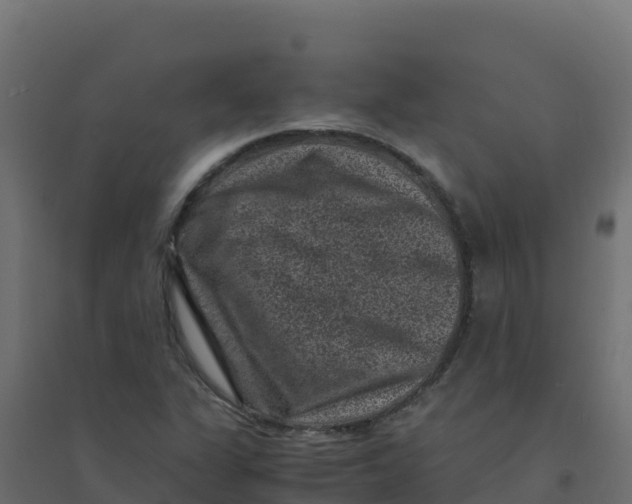 X0000094341311200711241843