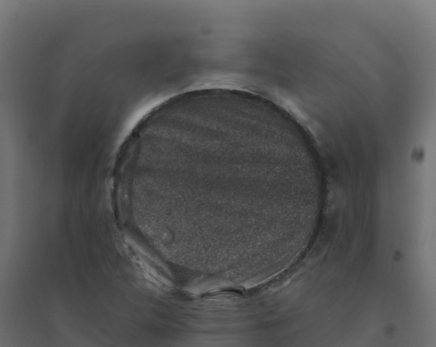 X0000094341312200711241843