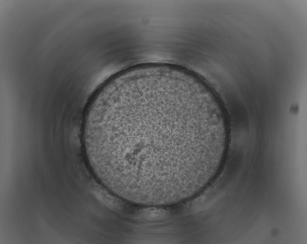 X0000094341314200711241843