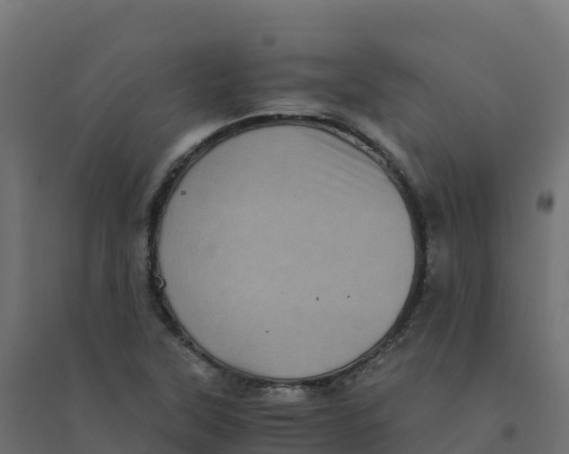 X0000094341315200711241843