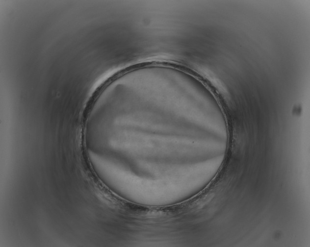 X0000094341316200711241843