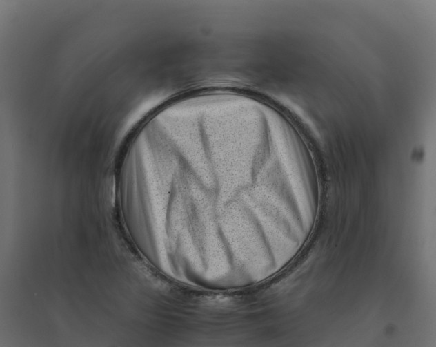 X0000094341317200711241843