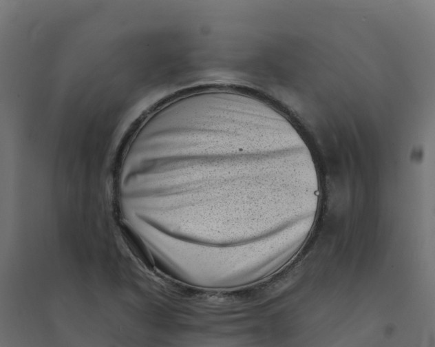 X0000094341318200711241843