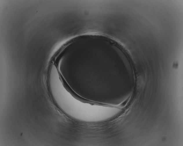 X0000094341319200711241843