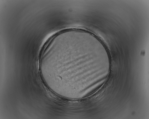 X0000094341320200711241843