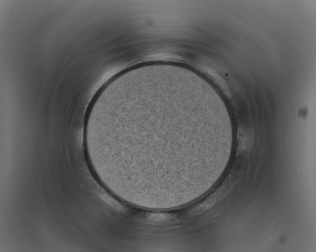 X0000094341322200711241843