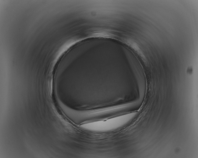 X0000094341323200711241843